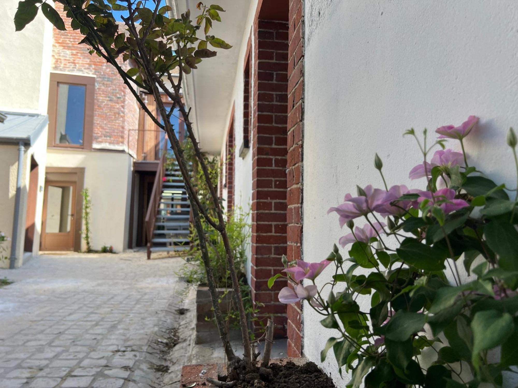 Bed and Breakfast Le Chene Fleuri Шартр Экстерьер фото